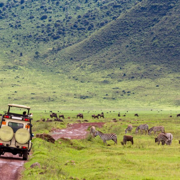 10-Day Ultimate Uganda Safari