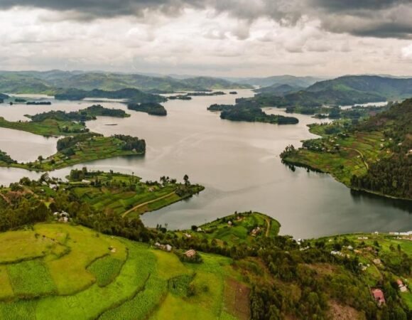 Why Uganda Is One of the Best Safari Destinations in Africa